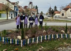 Zaječar dobio urbani vrt u okviru projekta „Niklo kao ja“